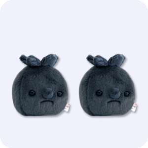 Forgotten Blueberry Plush 2PCS